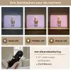 Papegaai - Koksmuts - Pilaar - Vogel Light Box met batterij (Wandlamp) middel -USP_lichtkleurNL
