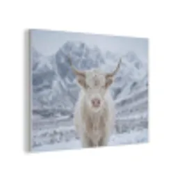 Schotse Hooglander - Sneeuw - Bergen - Winter PET vilt klein -3d