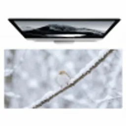 Vogeltje - Sneeuw - Tak - Winter - Zacht Muismat XXL klein -zzz3d