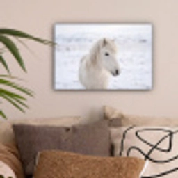 Paard - Kop - Winter - Dieren - Wit canvas 2cm klein -sfeer1