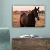 Paard - Zonsondergang - Bruin canvas 2cm klein -sfeer4