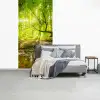 Bos - Landschap - Water - Bomen - Zon fotobehang vinyl groot -slaapkamer