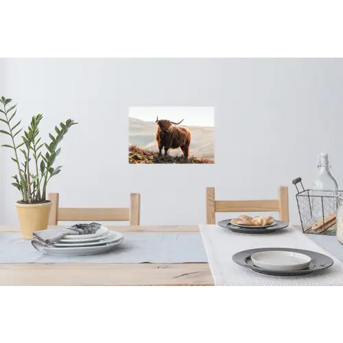 Schotse hooglander - Dieren - Landelijk - Landschap - Koe - Natuur Muursticker klein -eettafel