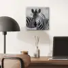 Zebra's - Zwart - Wit aluminium wit klein -sfeer5