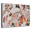 Bladeren - IJs - Winter - Natuur Textielframe zwart klein -3d
