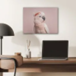 Kaketoe - Portret - Roze PET vilt klein -sfeer5