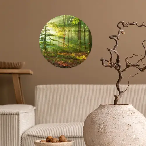 Zon - Bos - Bomen - Natuur - Herfst Wandcirkel behangsticker klein -sfeer1