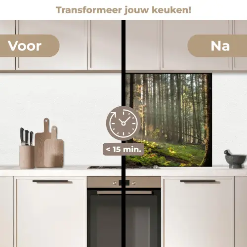 Zon - Takken - Bomen - Bos - Natuur keuken achterwand 2 middel -voor-na2_NL