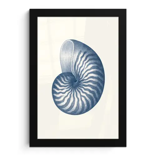 Blauw - Schelp - Spiraal fotolijst zwart zonder passe partout klein -3d
