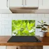 Natuur - Lente - Groen - Bladeren keuken achterwand spatscherm klein -sfeer2