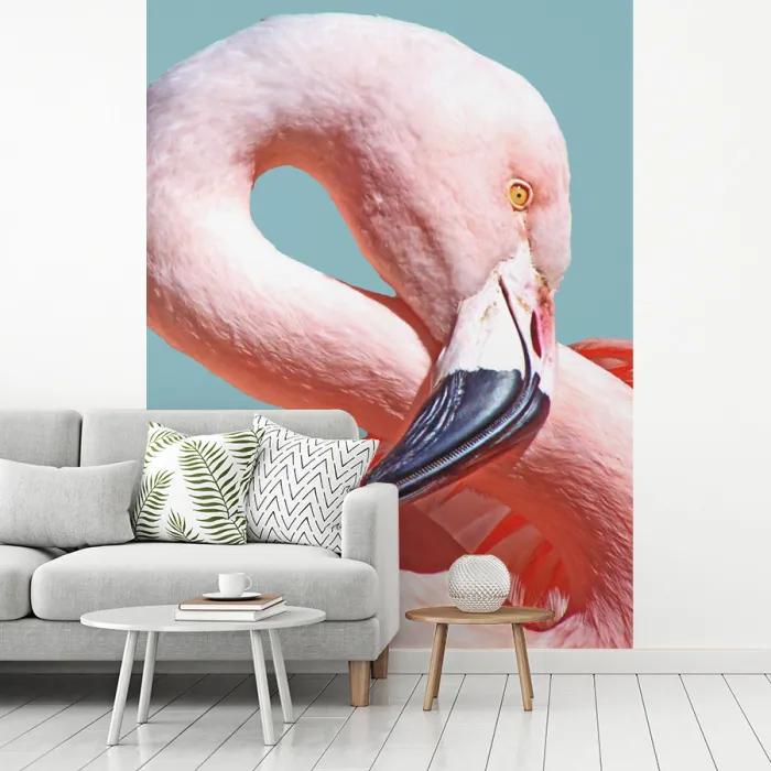 Close-up flamingo fotobehang vinyl groot -woonkamer