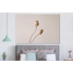 Papaverbollen - Droogbloemen - Minimalistisch - Beige - Rustig forex 5mm xxl -slaapkamer