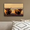 Schotse hooglanders - Heide - Landschap - Dieren canvas 2cm klein -sfeer3