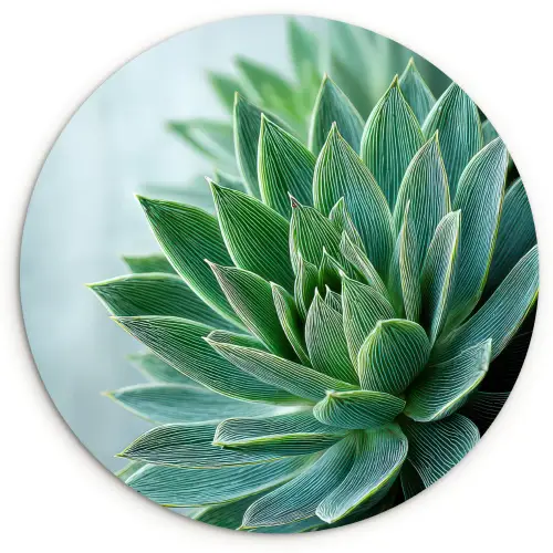 Vetplant - Bladeren - Groen - Wazig Wandcirkel plexiglas klein -3d