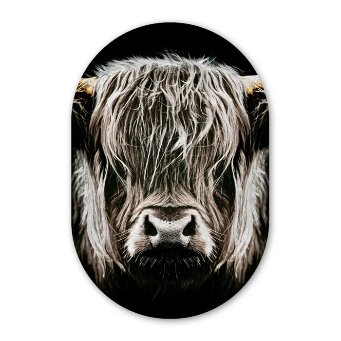 Schotse hooglander - Goud - Hoorns - Zwart wit - Koe - Dieren Wandcirkel Ovaal Forex klein -3d