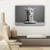 Alpaca - Pasta - Zwart - Wit - Grappig - Dieren canvas 2cm klein -sfeer6