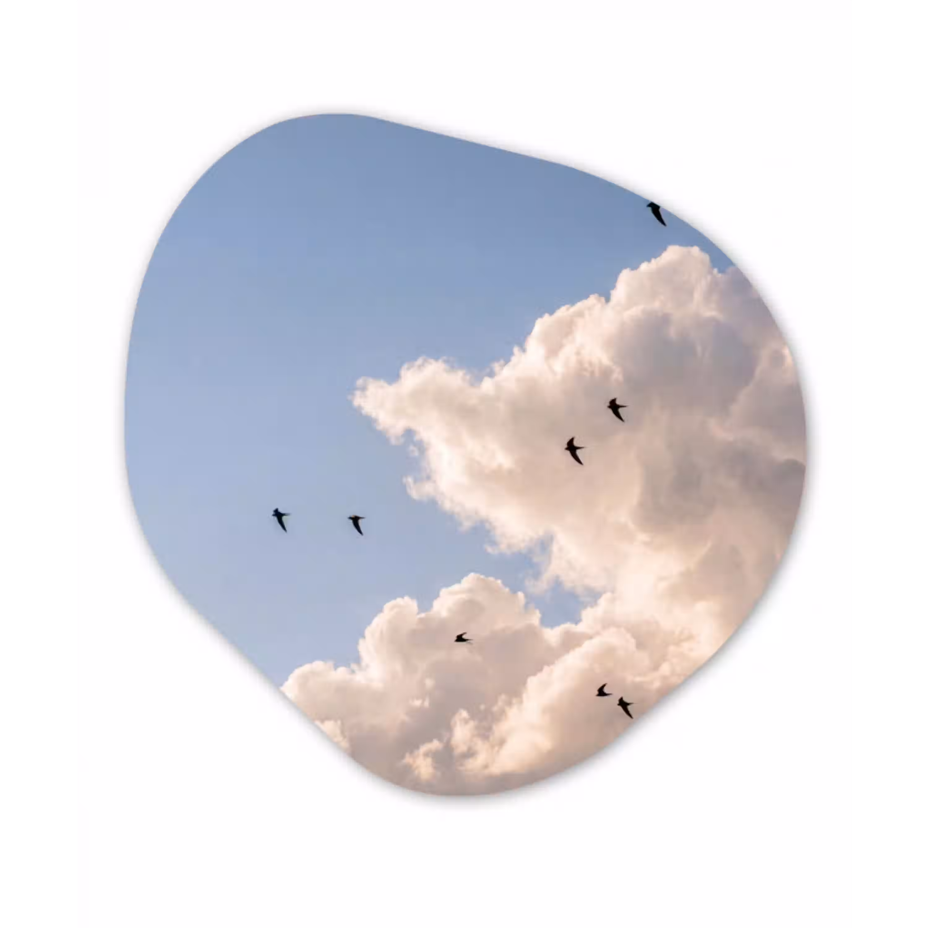 Vogel - Vlucht - Wolken - Natuur - Blauw Wandcirkel Organisch Aluminium middel -3d