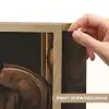 Chimpansee - Stoel - Pak - Bruin Light Box met batterij (Wandlamp) middel -USP_websiteprintNL