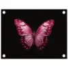 Vlinder - Fuchsia - Grafisch tuinposter los doek klein -3d