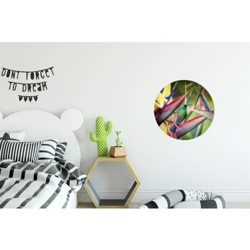 Kleurrijke vogel tussen allemaal kleurrijke platen Wandcirkel aluminium klein -kinderkamer