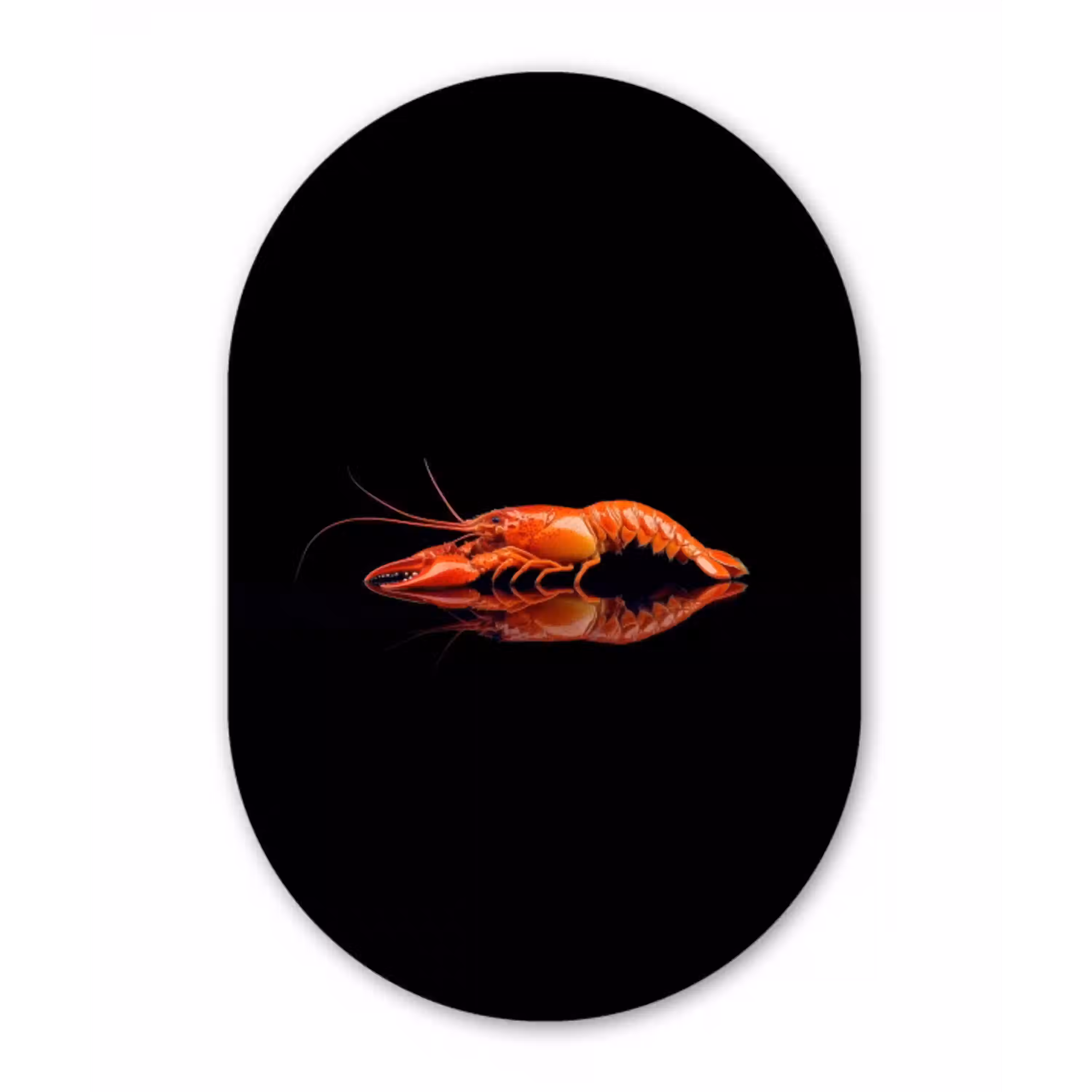 Kreeft - Oranje - Zwart - Opvallend Wandcirkel Ovaal Glas middel -3d