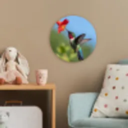 Kolibrie - Bloem - Natuur - Groen Wandcirkel kunststof plaat 5mm dik klein -tsfeer1_kind