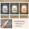Olifant - Dier - Kinderen - Jungle Light Box met kabel klein -USP_lichtkleurNL