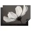 Bloem - Minimalistisch - Zwart - Wit Inductie beschermer vinyl 3mm klein -3d