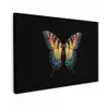 Vlinder - Kleurrijk - Speels canvas 2cm klein -z3d