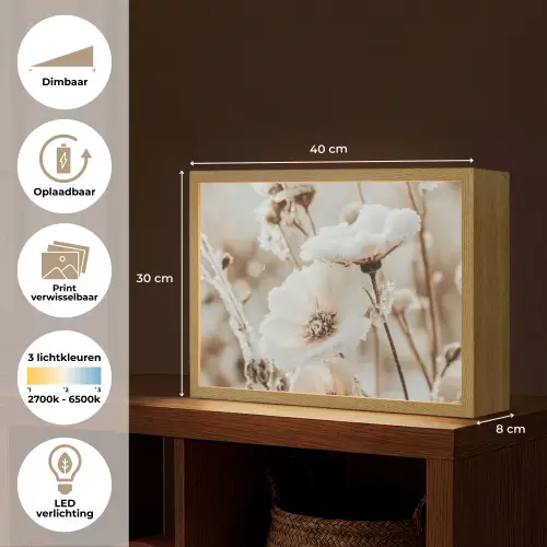 Bloemen - Winter - Wit - Sneeuw - Beige Light Box met batterij (Wandlamp) middel -USP_websiteoverzichtNL