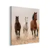 Kudde paarden - Stofwolk - Bruin - Zwart aluminium wit klein -3d