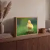 Kuiken - Eend - Geel - Gras Light Box met batterij (Wandlamp) middel -sfeer2