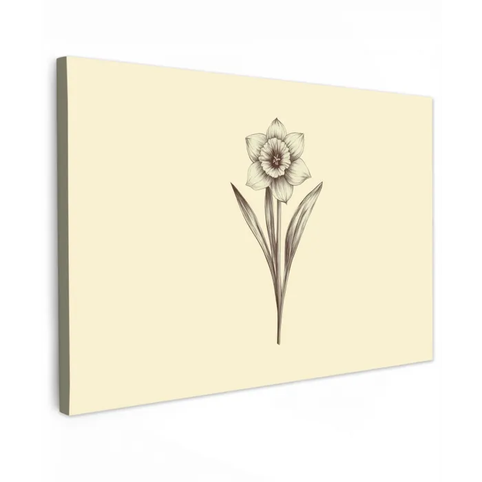 Zwart - Narcis - Illustratie canvas 2cm klein -z3d