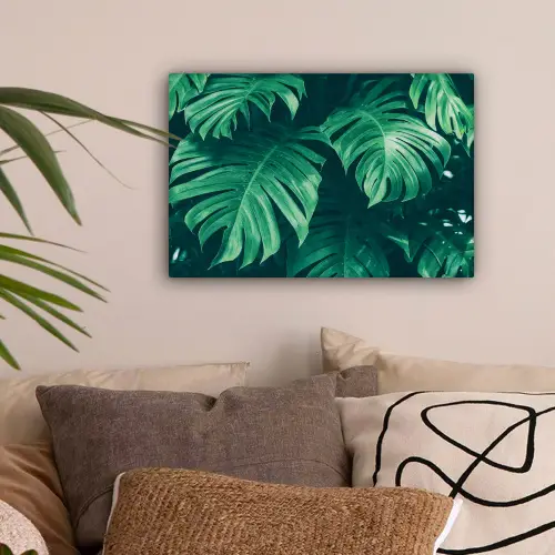 Monstera - Bladeren - Planten - Jungle - Natuur canvas 2cm klein -sfeer1