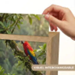 Ara - Jungle - Rood Light Box met kabel (Kinderlampje) klein -USP_websiteprintFR