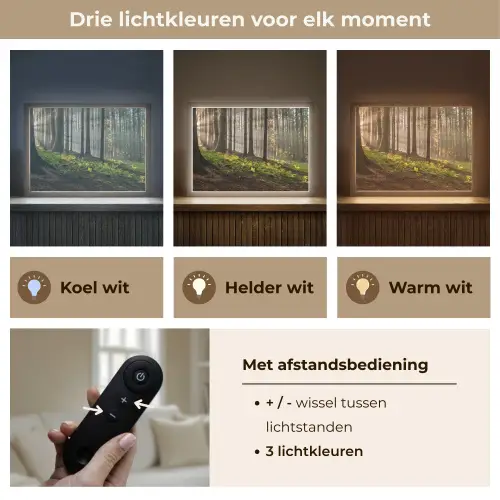 Zon - Takken - Bomen - Bos - Natuur Light Box met batterij (Wandlamp) middel -USP_lichtkleurNL