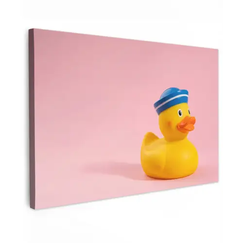 Matroos - Eend - Roze canvas 2cm klein -z3d
