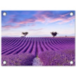 Perfecte lavendelrijen bij zonsopgang tuinposter los doek klein -3d