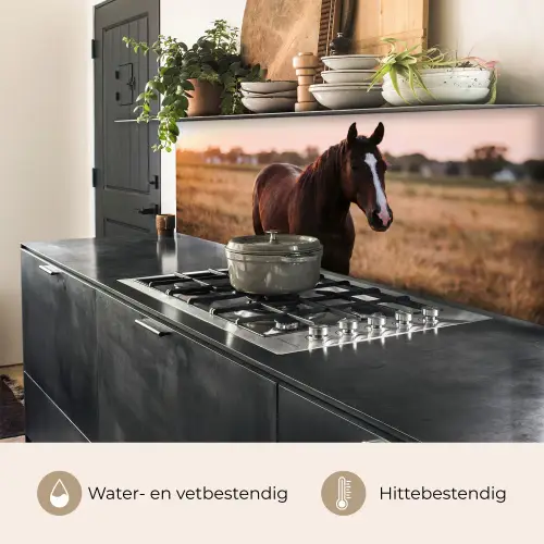 Paard - Zonsondergang - Bruin keuken achterwand 2 middel -usp_NL