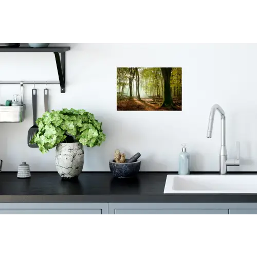 Bos - Zon - Seizoenen - Landschap Muursticker klein -keuken