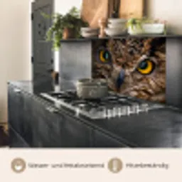 Uil - Dier - Oranje keuken achterwand 2 middel -usp_DE