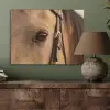 Paard - Oog - Bruin PET vilt klein -sfeer2