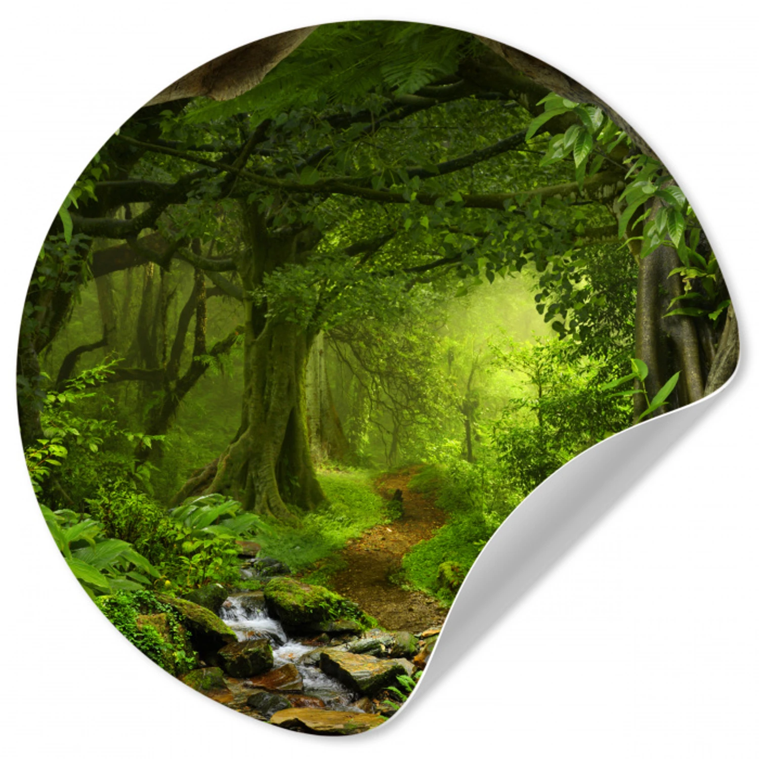 Jungle - Groen - Natuur - Tropisch - Planten Wandcirkel behangsticker klein -3d