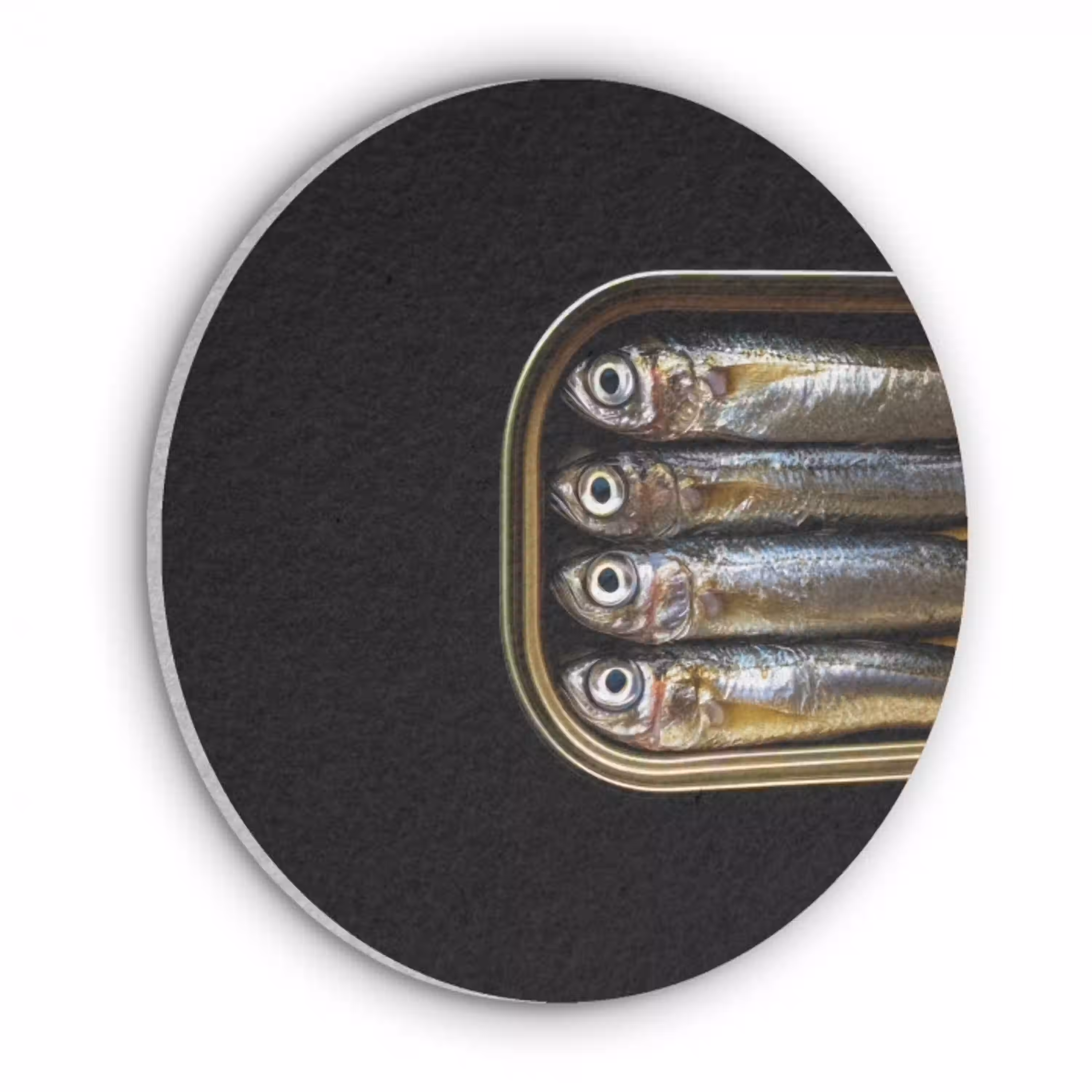 Sardines - Blik - Zwart - Vissen Akoestische PET Vilt - Rond klein -3d