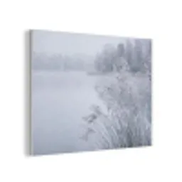 Riet - Bevroren - Winter - Natuur PET vilt klein -3d