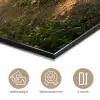 Bos - Bomen - Pad - Zon - Planten - Bladeren - Natuur aluminium wit klein -closeup_NL