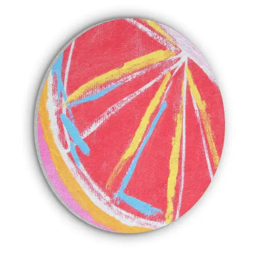 Grapefruit - Geschilderd - Roze - Strepen Akoestische PET Vilt - Rond klein -3d