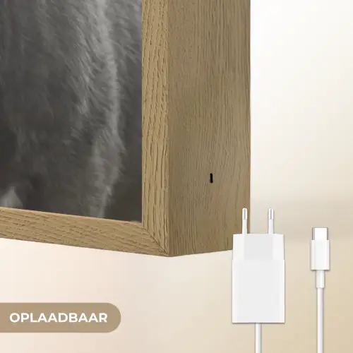 Koeien - Zwart - Wit Light Box met batterij (Wandlamp) middel -USP_websiteoplaadbaarNL