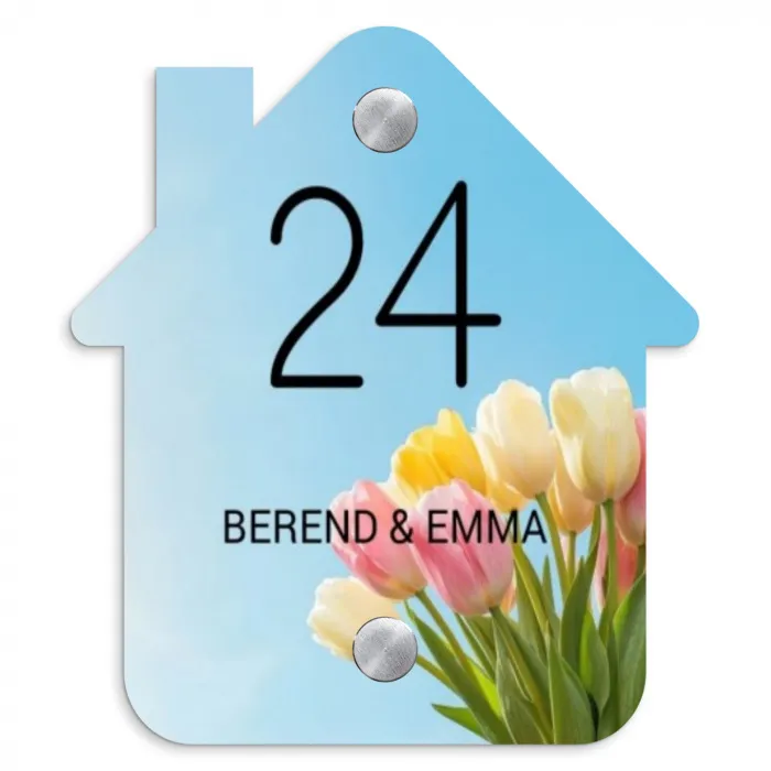 Gekleurde tulpen lucht - Klassiek Naambord Huisje klein -3d