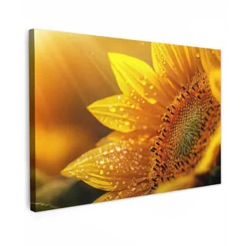 Zonnebloem - Dauwdruppels - Geel - Zonlicht Tuinposter op houten frame 2 cm dik klein -3d